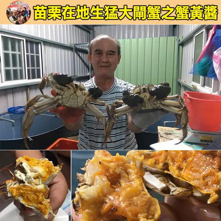 5台斤母蟹製作一瓶醬!!正宗的【台灣苗栗大閘蟹】蟹黃醬,純手工熬制,蟹肉飽滿,鮮香四溢,老公一口氣買了10罐! 5台斤母蟹製作一瓶醬!!正宗的【台灣苗栗大閘蟹】蟹黃醬,純手工熬制,蟹肉飽滿,鮮香四溢,老公一口氣買了10罐!