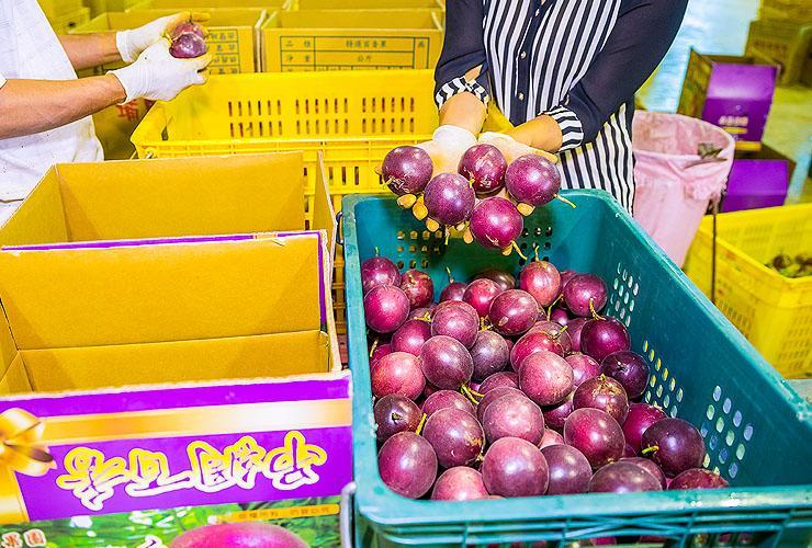 1675666751794355.jpg 2.jpg