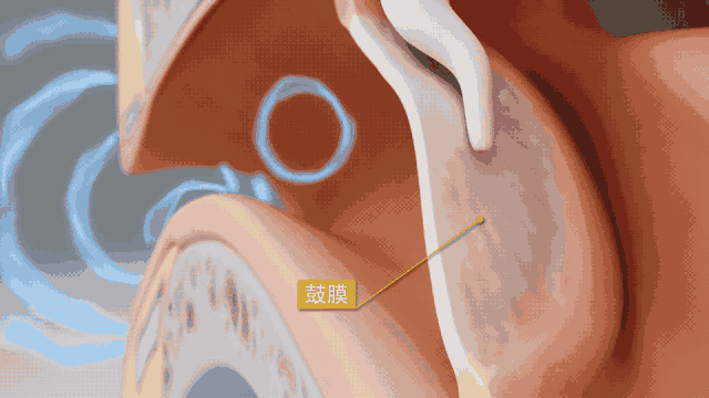 1688040481896334.gif 20230628_152606_257_20230629094216_051.gif