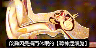 1688040521772620.gif 20230628_152606_263_20230629094223_078.gif