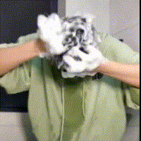 1688283510510040.gif 20230630_103104_136_20230630103202_655.gif