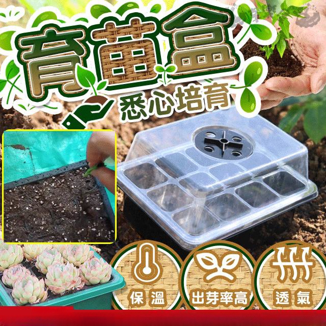 多功能育苗盤透氣育苗種植園藝